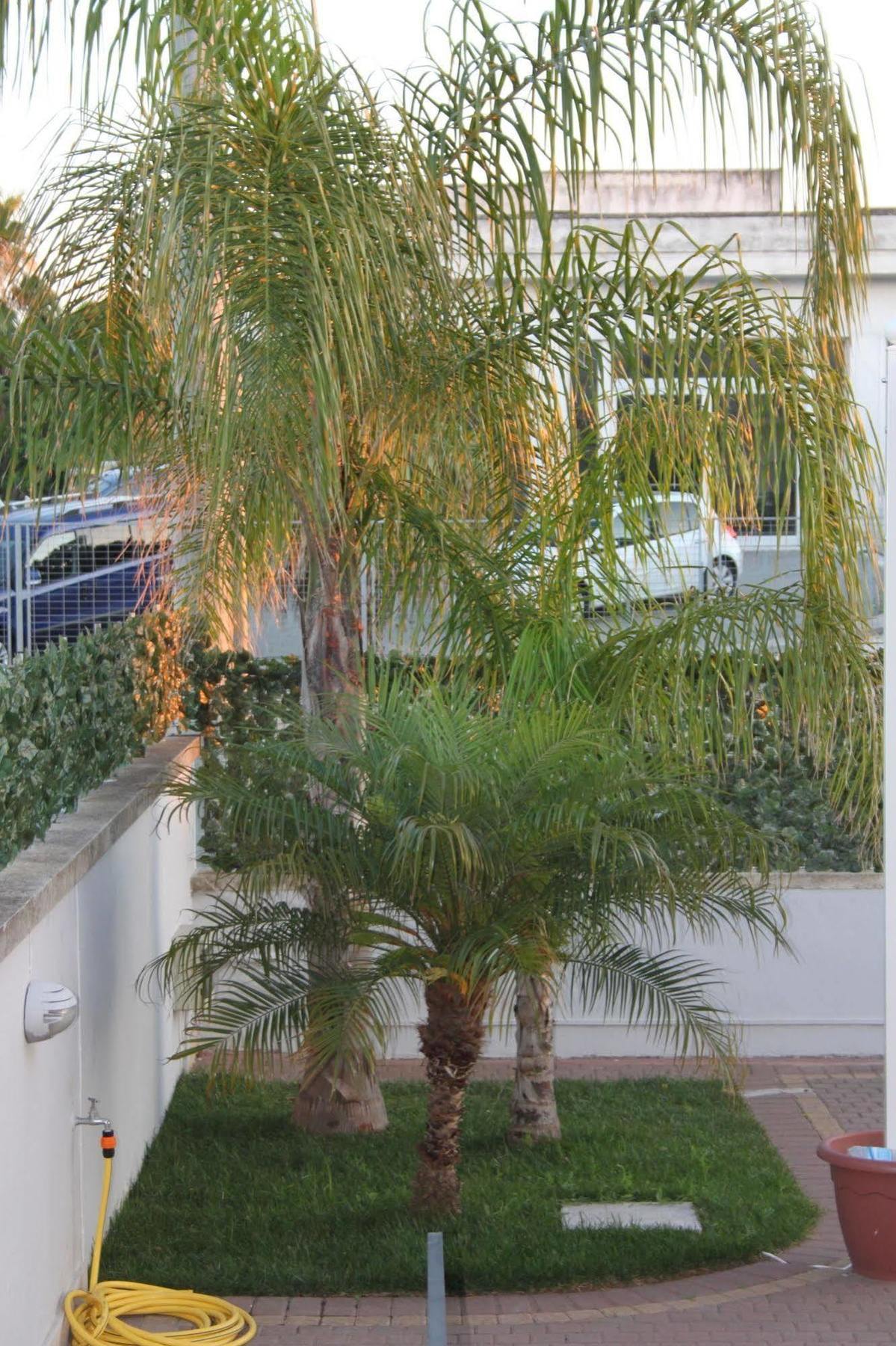 קרפיניאנו סלינטינו Kalinifta Residence מראה חיצוני תמונה